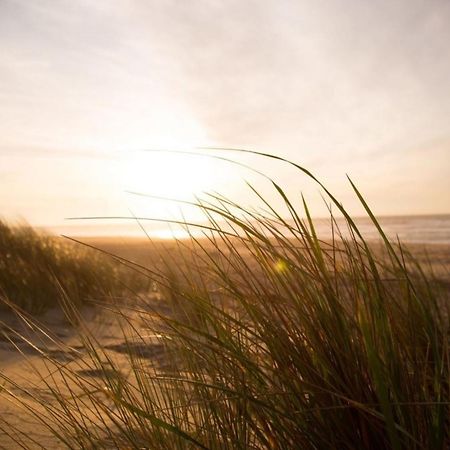 Kleine Nordseewelle Ohne Hund Норден Экстерьер фото