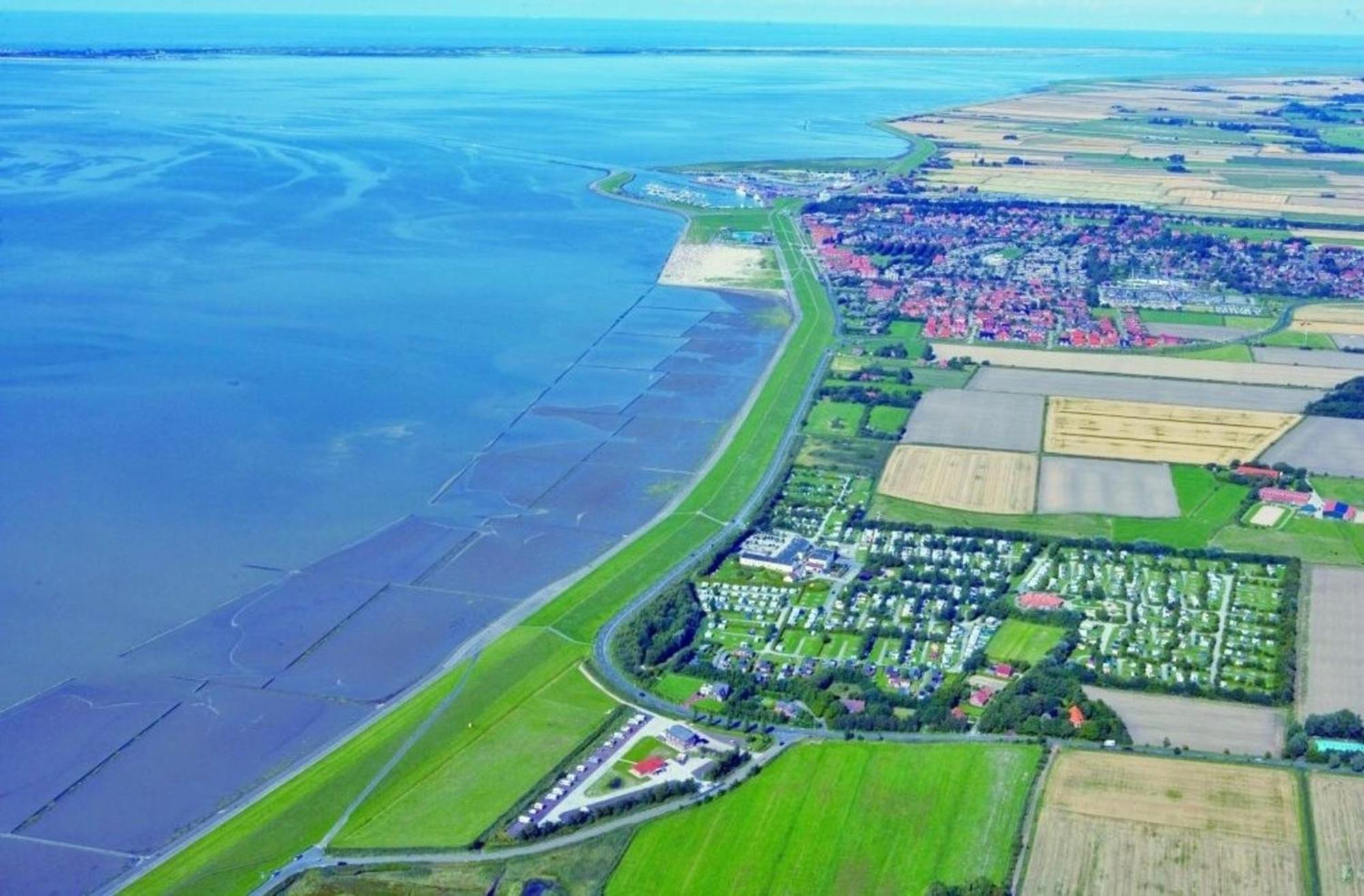 Kleine Nordseewelle Ohne Hund Норден Экстерьер фото
